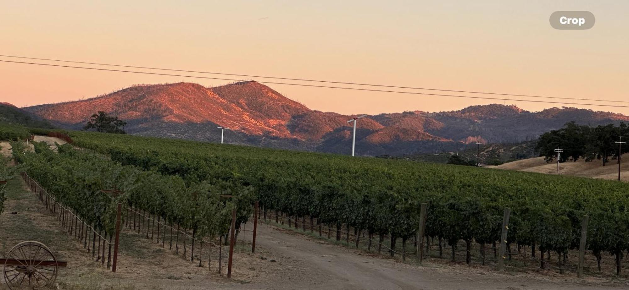 Rustridge Ranch & Winery Bed and Breakfast St. Helena Buitenkant foto