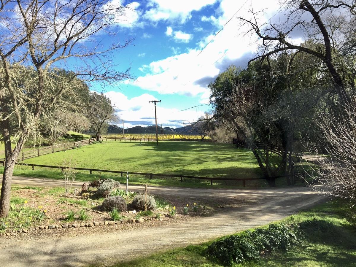 Rustridge Ranch & Winery Bed and Breakfast St. Helena Buitenkant foto