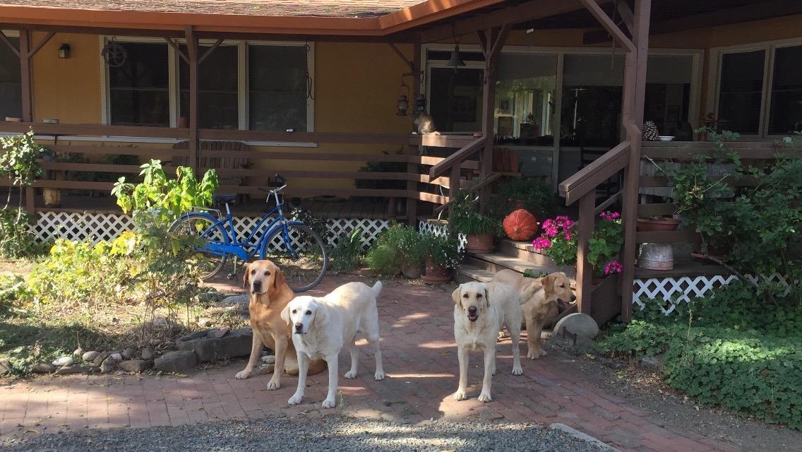 Rustridge Ranch & Winery Bed and Breakfast St. Helena Buitenkant foto