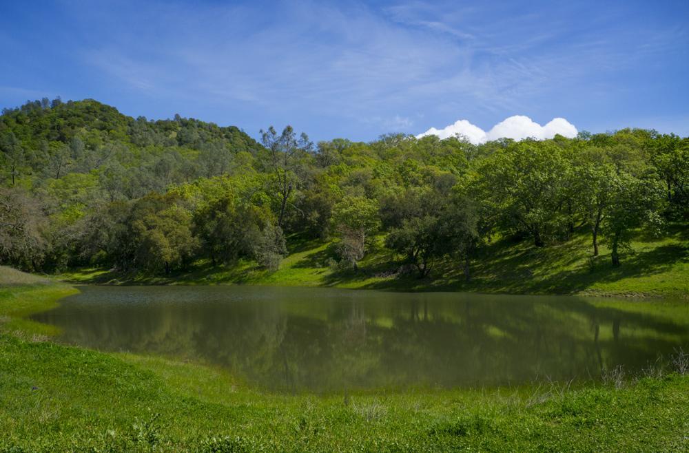 Rustridge Ranch & Winery Bed and Breakfast St. Helena Buitenkant foto