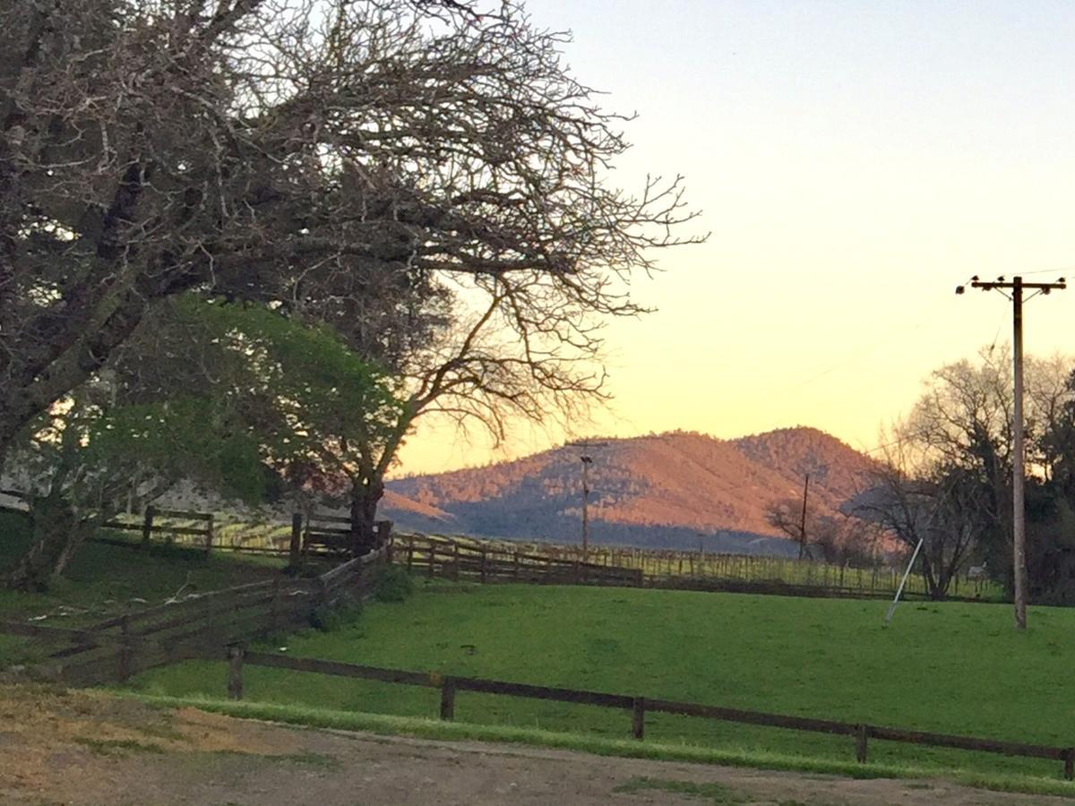 Rustridge Ranch & Winery Bed and Breakfast St. Helena Buitenkant foto
