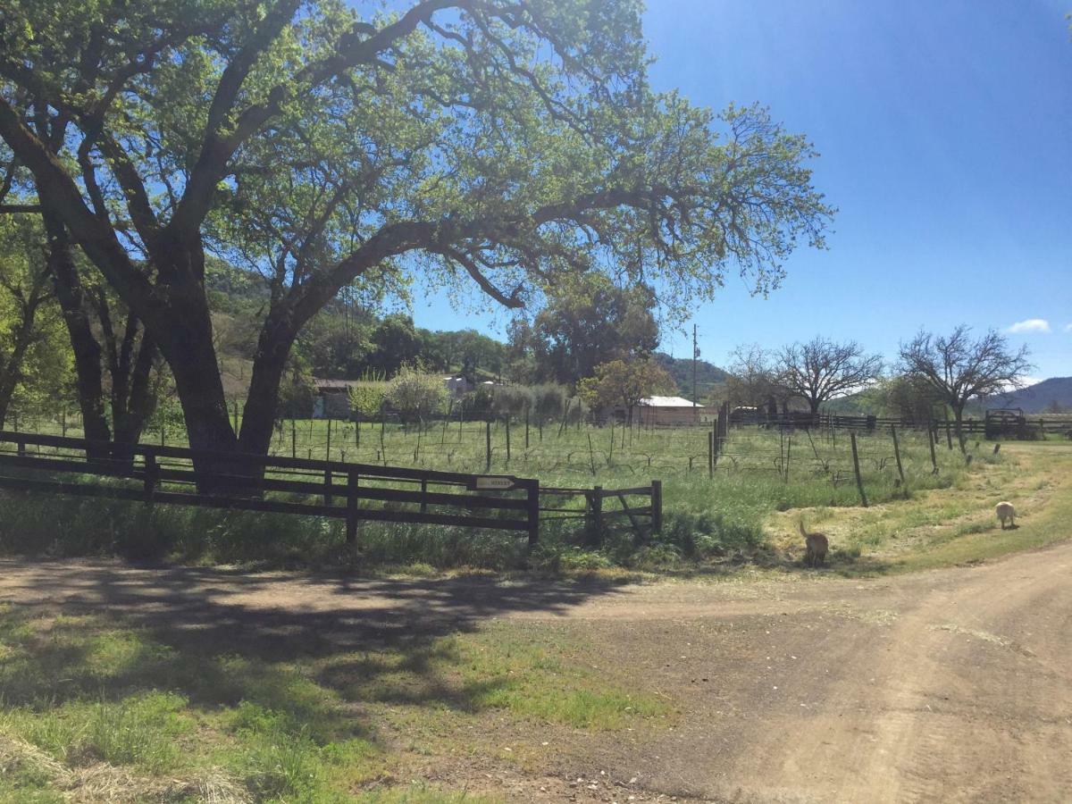 Rustridge Ranch & Winery Bed and Breakfast St. Helena Buitenkant foto