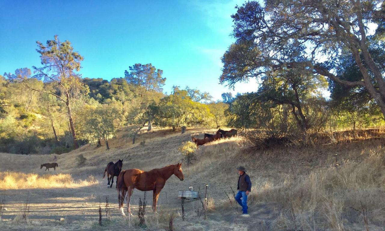 Rustridge Ranch & Winery Bed and Breakfast St. Helena Buitenkant foto