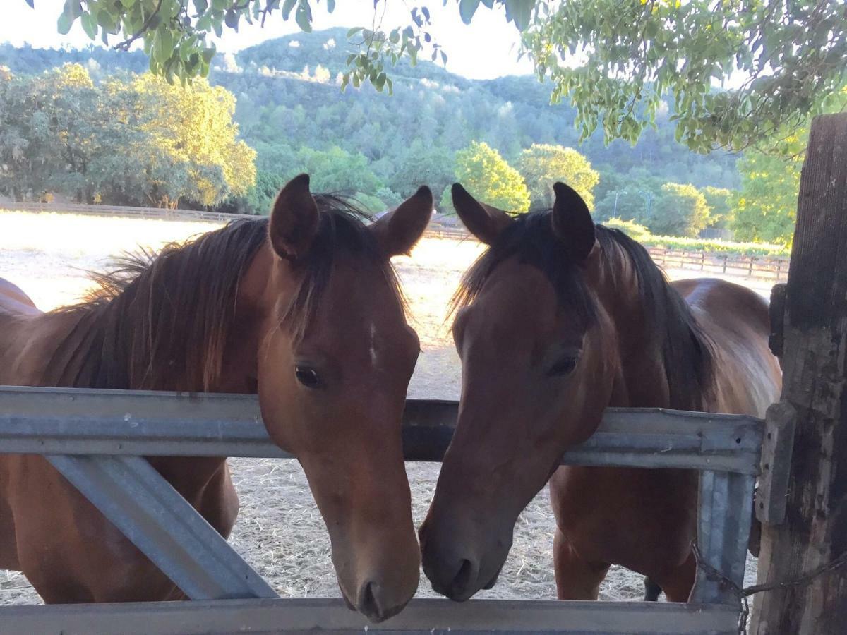 Rustridge Ranch & Winery Bed and Breakfast St. Helena Buitenkant foto