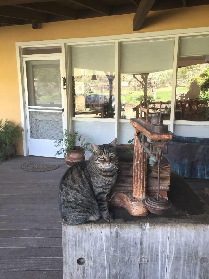 Rustridge Ranch & Winery Bed and Breakfast St. Helena Buitenkant foto