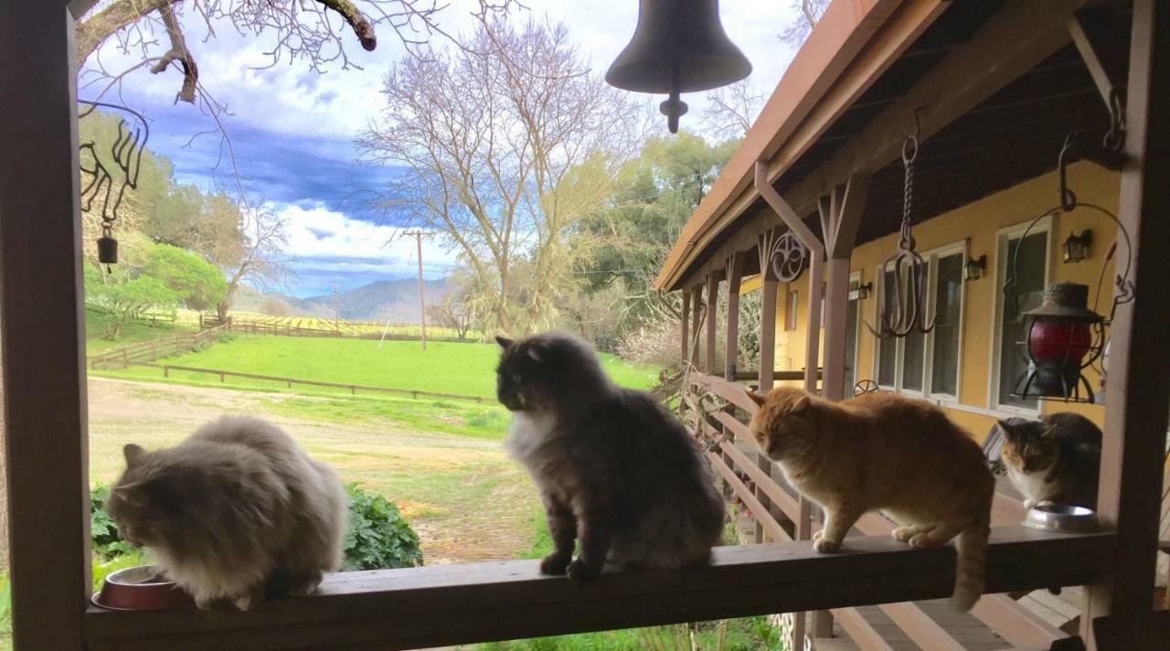 Rustridge Ranch & Winery Bed and Breakfast St. Helena Buitenkant foto