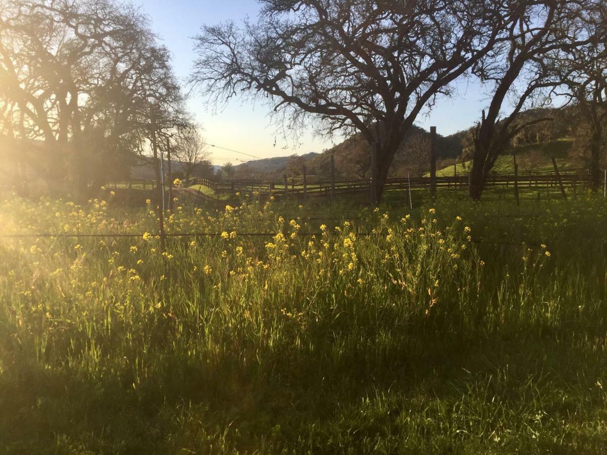 Rustridge Ranch & Winery Bed and Breakfast St. Helena Buitenkant foto