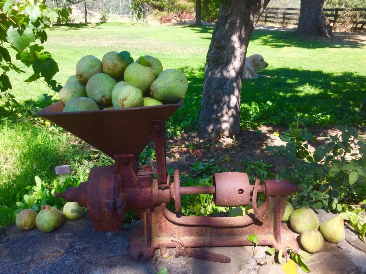Rustridge Ranch & Winery Bed and Breakfast St. Helena Buitenkant foto