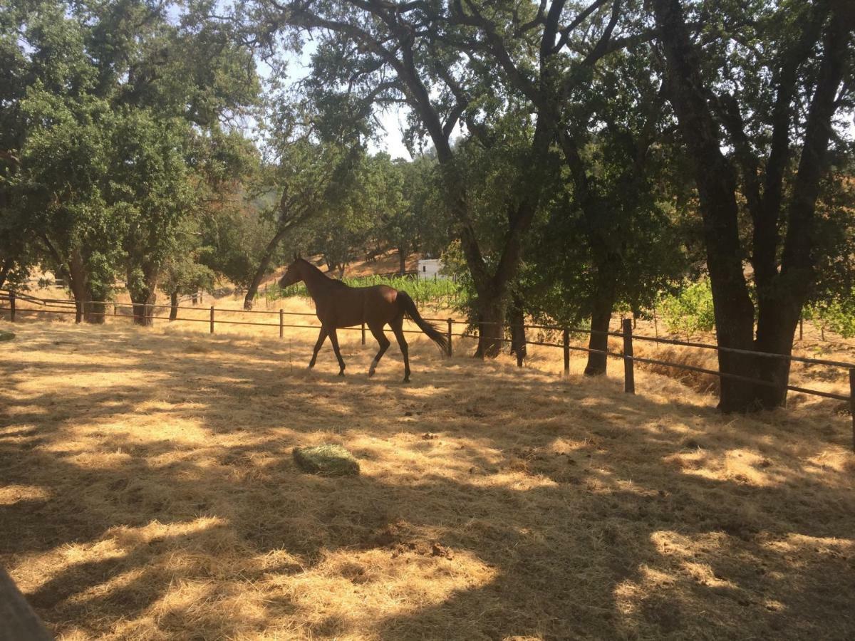 Rustridge Ranch & Winery Bed and Breakfast St. Helena Buitenkant foto